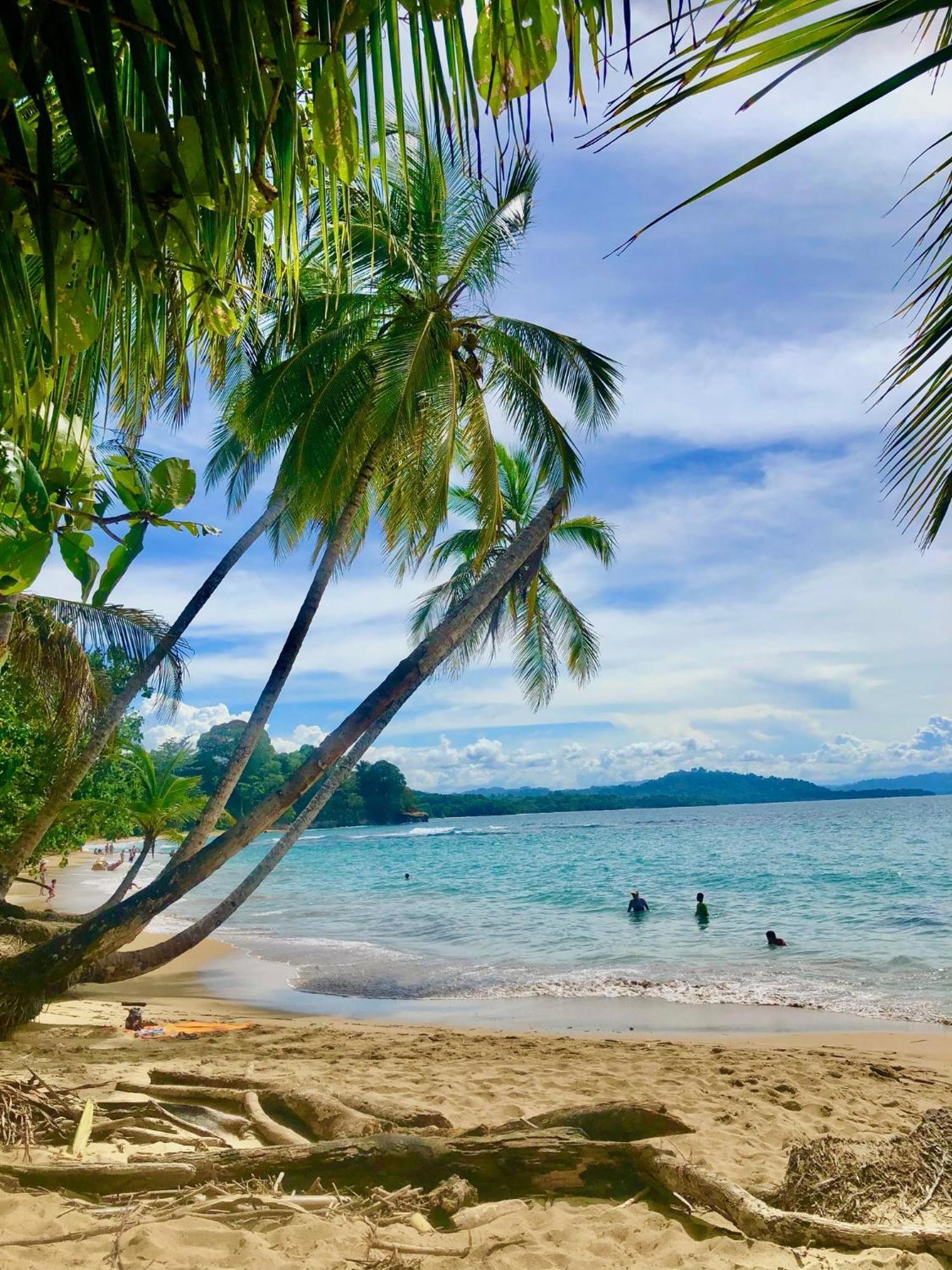 Cabinas Ole Caribe Puerto Viejo de Talamanca Exteriör bild
